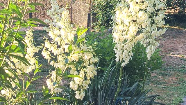 Kuća, Petosoban i veći, Prodaja, 174m2, Bogdanje