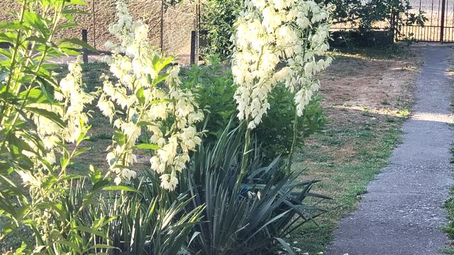 Kuća, Petosoban i veći, Prodaja, 174m2, Bogdanje