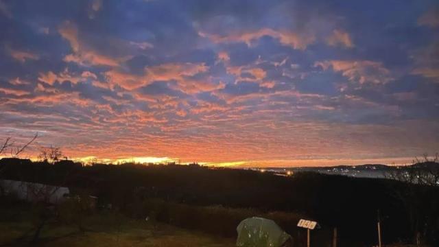 Kuća, Petosoban i veći, Prodaja, 256m2, Arandjelovac