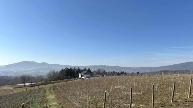 Kuća, Petosoban i veći, Prodaja, 256m2, Arandjelovac