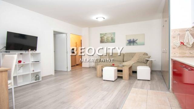 Stan, Jednoiposoban, Izdavanje, 45m2, Južni bulevar, Vračar, Sime Igumanova