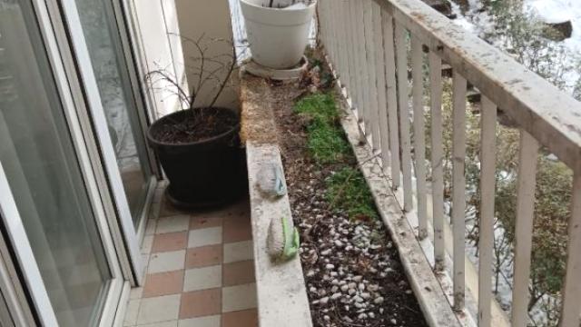 Stan, Dvoiposoban, Izdavanje, 78m2, Banovo brdo, Čukarica, Beogradskog bataljona