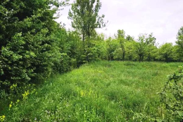 prodaja, plac,
slanci-palilula-beograd, 1024719, marsala-tita