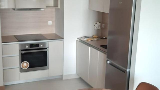 Stan, Dvosoban, Izdavanje, 54m2, Beograd na vodi, Savski venac, Bulevar Vudroa Vilsona