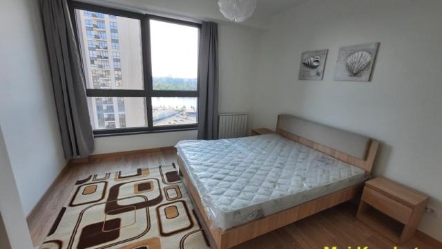 Stan, Dvosoban, Izdavanje, 54m2, Beograd na vodi, Savski venac, Bulevar Vudroa Vilsona
