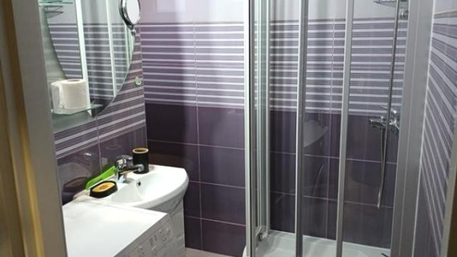 Stan, Jednoiposoban, Izdavanje, 25m2, Centar, Stari grad, Đure Daničića