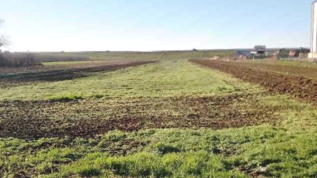 Plac, Prodaja, m2, Jakovo, Surčin, Boljevačka