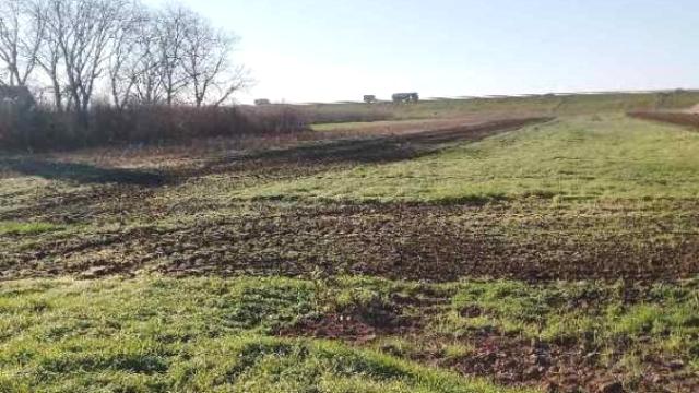 Plac, Prodaja, m2, Jakovo, Surčin, Boljevačka