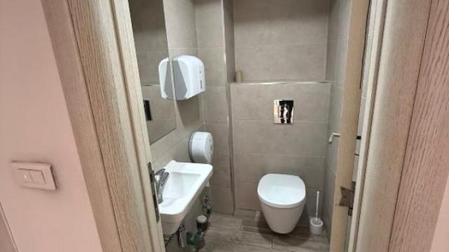 Poslovni prostor, Izdavanje, 268m2, Lion, Zvezdara, Bulevar kralja Aleksandra