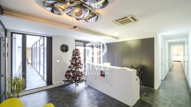 Poslovni prostor, Petosoban i veći, Izdavanje, 303m2, Knićaninova