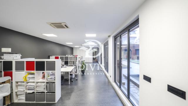 Poslovni prostor, Petosoban i veći, Izdavanje, 303m2, Knićaninova