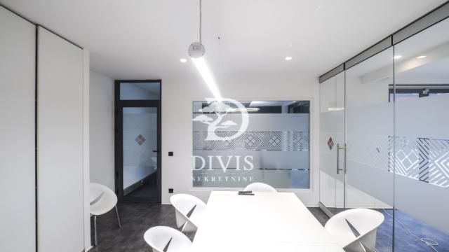 Poslovni prostor, Petosoban i veći, Izdavanje, 303m2, Knićaninova