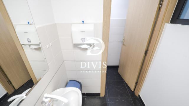 Poslovni prostor, Petosoban i veći, Izdavanje, 303m2, Knićaninova