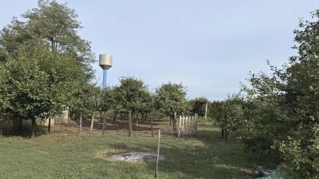 Kuća, četvorosoban, Prodaja, 170m2, Čonoplja, Okolno mesto, Čonoplja