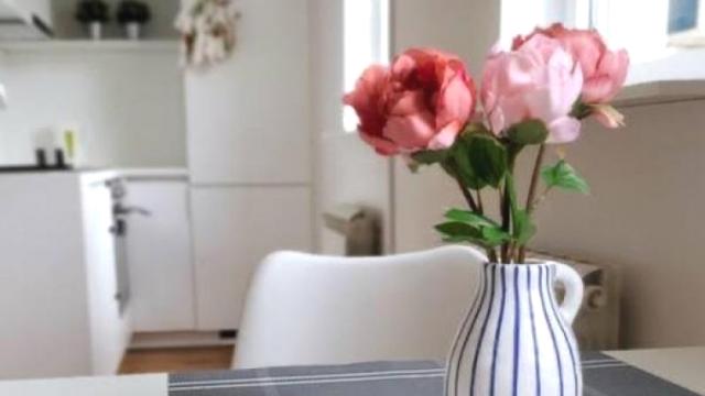 Stan, Jednosoban, Prodaja, 35m2, Krunska, Vračar, Loznička