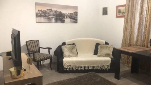 Stan, Dvosoban, Izdavanje, 45m2, Knegin je Zorke