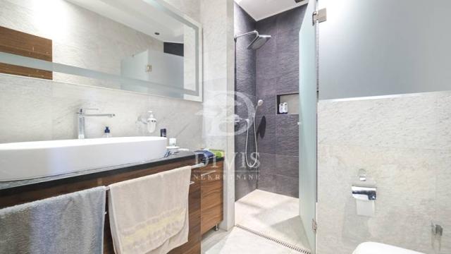 Stan, Petosoban i veći, Izdavanje, 252m2, Dinarska