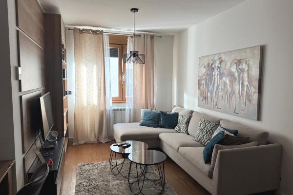 izdavanje, stanova,
beograd, 1028687, jednoiposoban-brace-radovanovic