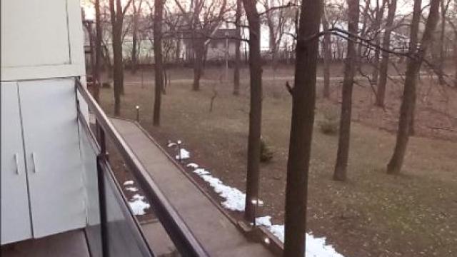 Stan, Trosoban, Izdavanje, 80m2, Golf, Čukarica, Petra Drapšina (Miodraga Živkovića)