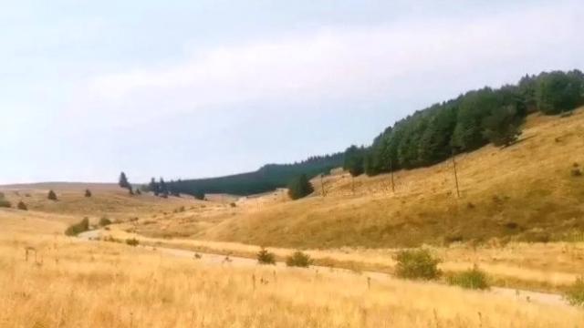 Plac, Prodaja, m2, Kriva Reka