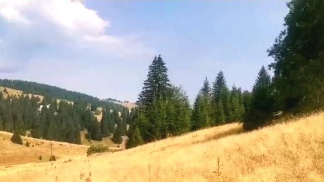 Plac, Prodaja, m2, Kriva Reka