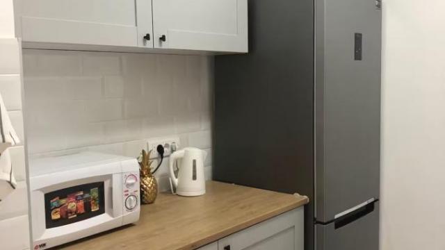 Stan, Jednoiposoban, Izdavanje, 48m2, Hotel Jugoslavija, Novi Beograd, Klare Cetkin