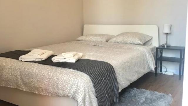 Stan, Jednoiposoban, Izdavanje, 48m2, Hotel Jugoslavija, Novi Beograd, Klare Cetkin