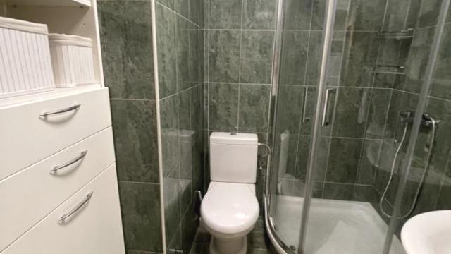 Stan, Jednoiposoban, Izdavanje, 40m2, Dorćol, Stari grad, Strahinjića Bana