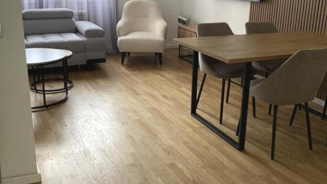 Stan, Dvoiposoban, Izdavanje, 64m2, Hram svetog Save, Vračar, Braničevska