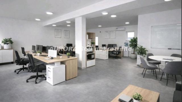 Poslovni prostor, Petosoban, Izdavanje, 350m2, Petrovaradin, Novi Sad