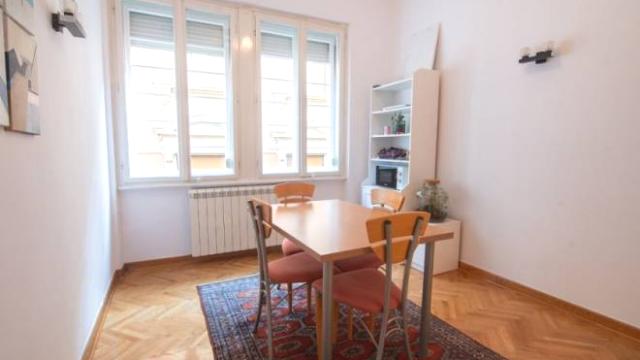 Stan, Dvosoban, Izdavanje, 60m2, Vase Čarapića