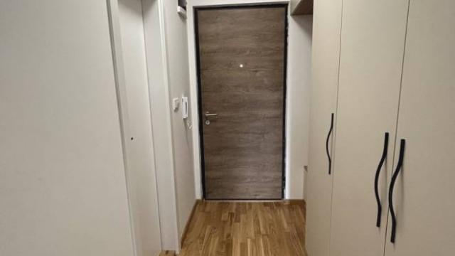 Stan, Garsonjera, Izdavanje, 28m2, Višnjićeva