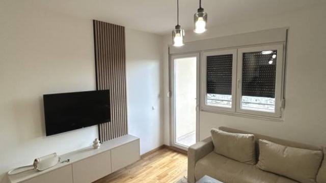 Stan, Garsonjera, Izdavanje, 28m2, Višnjićeva