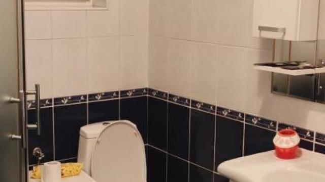 Stan, Dvosoban, Izdavanje, 48m2, Altina, Zemun, Jovana Raškovića