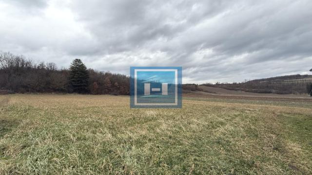 Kuća, Prodaja, 214m2, Glavinci, Okolno mesto, Jagodina