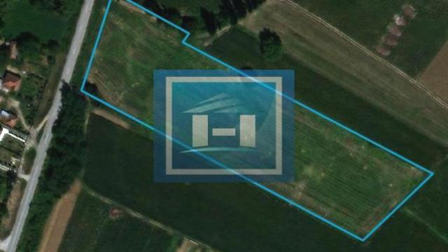 Plac, Prodaja, 16009m2, Dragocvet, Okolno mesto, Jagodina