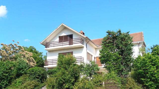 Kuća, Petosoban i veći, Prodaja, 360m2, Deligradska 68