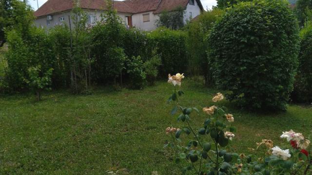 Kuća, Petosoban i veći, Prodaja, 360m2, Deligradska 68