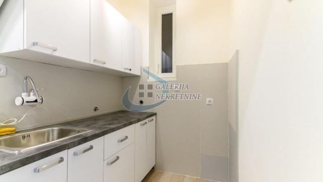 Stan, Dvosoban, Izdavanje, 36m2, Botanička bašta, Palilula, Cvijićeva