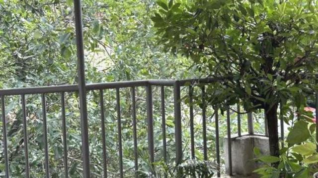 Stan, četvoroiposoban, Izdavanje, 197m2, Banovo brdo, Čukarica, Požeška