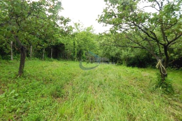 prodaja, plac,
kumodraz-vozdovac-beograd, 1038934, daljska