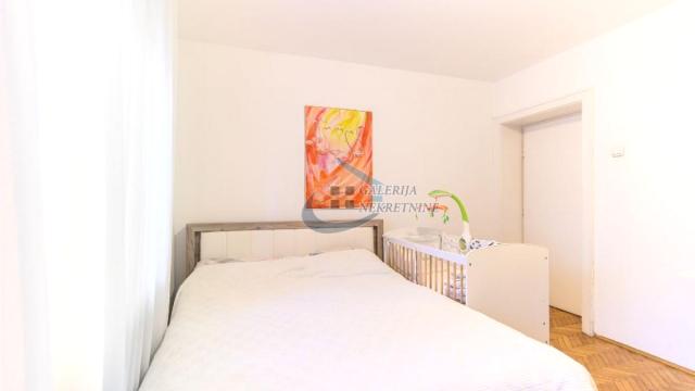 Stan, Petosoban, Izdavanje, 107m2, Dedinje, Savski venac, Alekse Bačvanskog