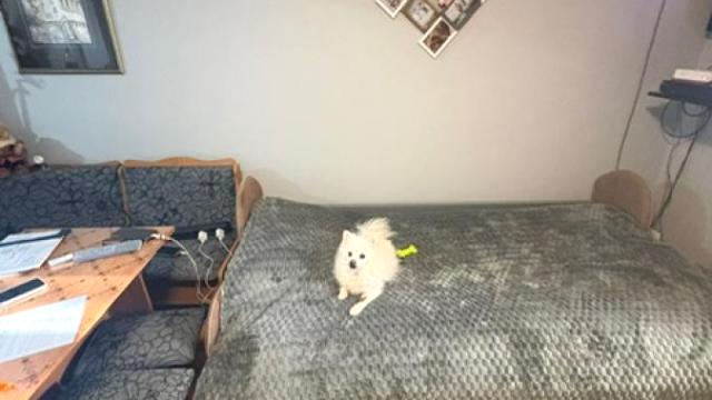 Kuća, Dvosoban, Prodaja, 38m2, Hadžipopovac, Palilula, Albanske spomenice