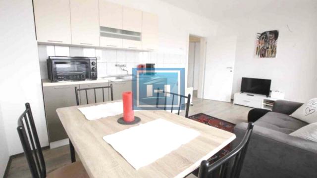 Stan, Dvosoban, Izdavanje, 42m2, Gloždak, Gradska lokacija, Paraćin