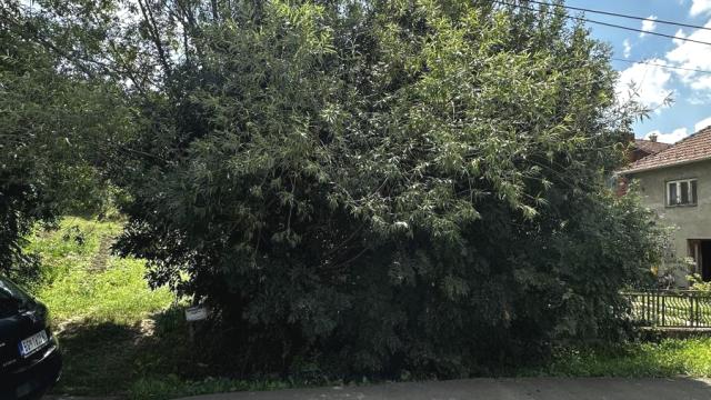 Plac, Prodaja, m2, Vrčin, Grocka, Milete Cerovca