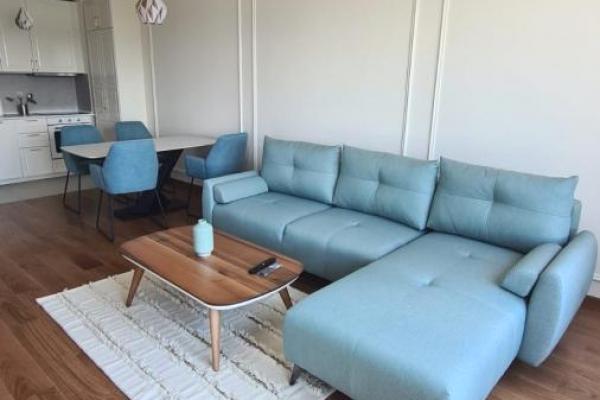 izdavanje, stanova,
blok-65-novi-beograd-beograd, 1042322, dvosoban-bulevar-heroja-sa-kosara