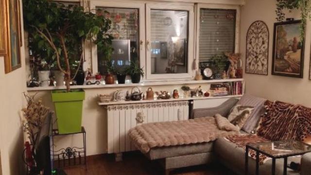 Stan, Dvoiposoban, Prodaja, 36m2, Fontana, Novi Beograd, Studentska