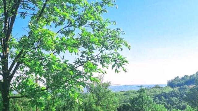 Kuća, Trosoban, Izdavanje, 97m2, Kosmaj, Sopot, Put Srndaća