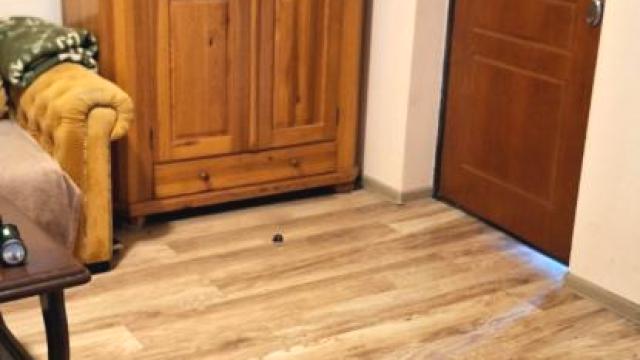 Kuća, Trosoban, Izdavanje, 97m2, Kosmaj, Sopot, Put Srndaća