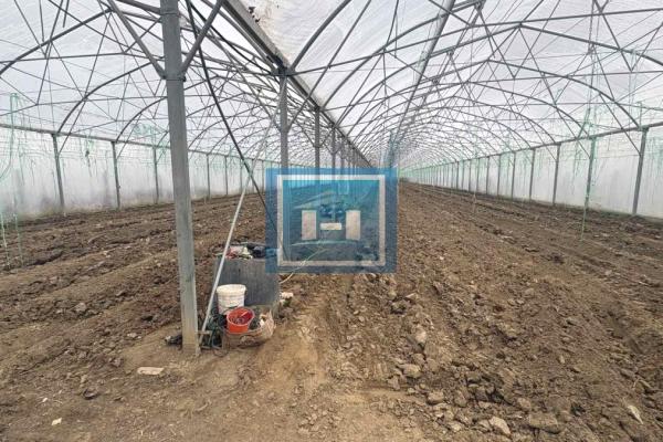 prodaja, plac,
jagodina, 1035466, plac